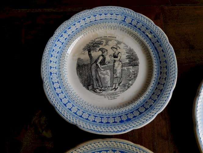SERIE DE 5 ASSIETTES" LE LANGAGE DES FLEURS" CHOISY LE ROI