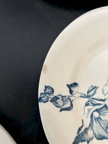 serie de 7 assiettes  Terre de Fer " Tremiere" décor floral vert céladon