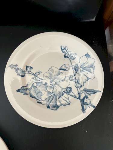 serie de 7 assiettes  Terre de Fer " Tremiere" décor floral vert céladon