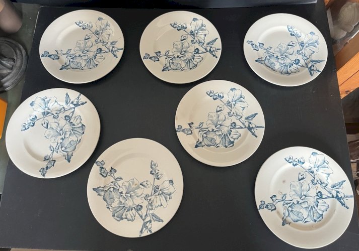 serie de 7 assiettes  Terre de Fer " Tremiere" décor floral vert céladon