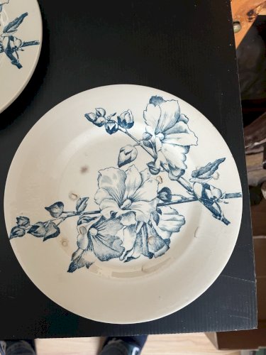 serie de 7 assiettes  Terre de Fer " Tremiere" décor floral vert céladon