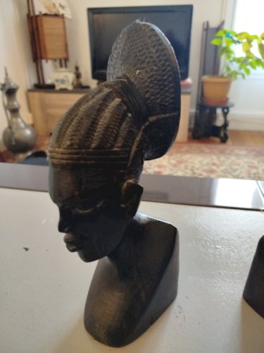 Serre livres africain