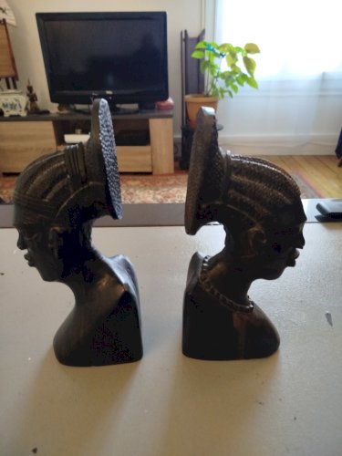 Serre livres africain