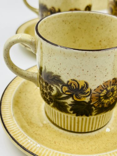 Service à café 4 personnes Poole Pottery modèle Thistlewood