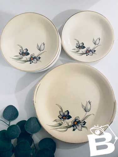 Service à dessert vintage Saint Amand « Tulipes » 12 pièces