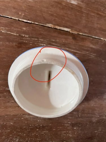 Service à thé ou café Saint-Amand Céranord modèle Edelweiss