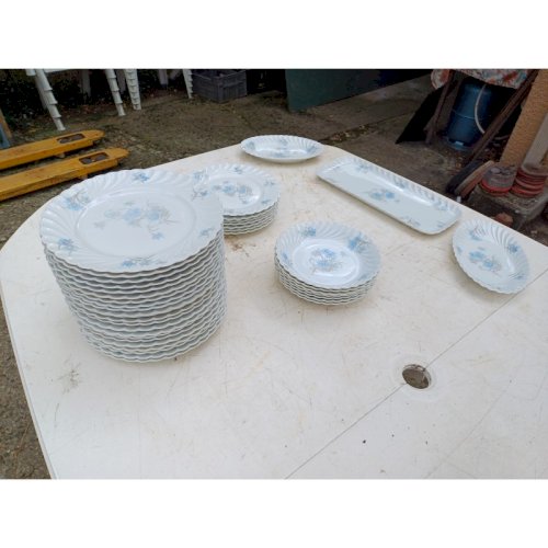 Service à Vaisselles Porcelaine de Limoges Haviland