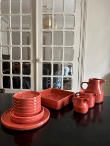 Niderviller coral dish set 24 pieces 1970