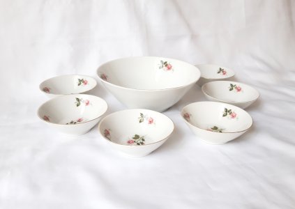 Service saladier 6 ramequins porcelaine de Bavière 