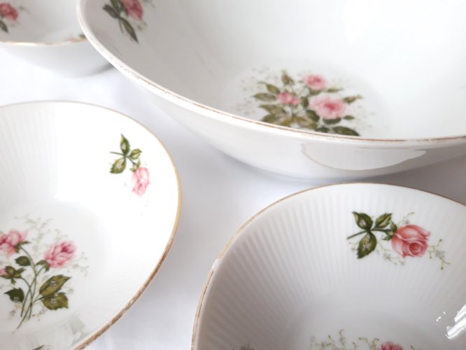 Service saladier 6 ramequins porcelaine de Bavière 