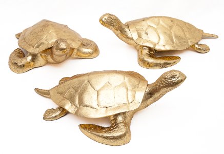 Set of 3 lucky turtles