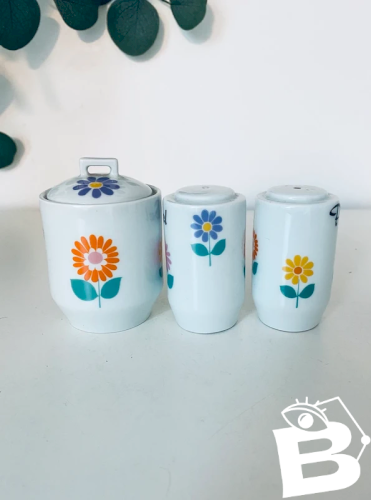 Set vintage sel poivre moutarde Porcelaine des Tuileries années 70