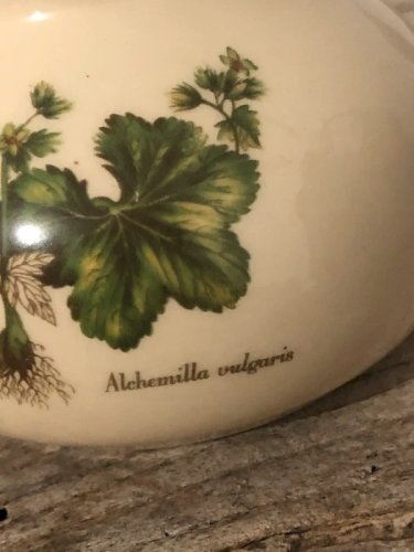 Soliflore blanc crème motifs botaniques