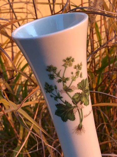 Soliflore blanc crème motifs botaniques