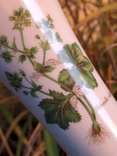 Soliflore blanc crème motifs botaniques