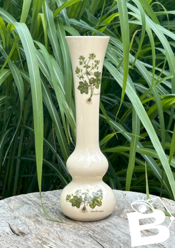 Soliflore blanc crème motifs botaniques