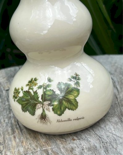 Soliflore blanc crème motifs botaniques