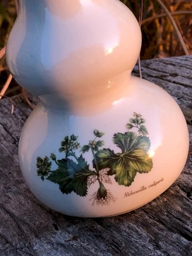 Soliflore blanc crème motifs botaniques