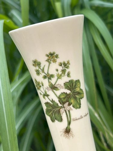 Soliflore blanc crème motifs botaniques
