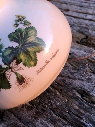 Soliflore blanc crème motifs botaniques