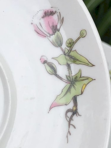 Soucoupes Mobil vintage en porcelaine Winterling