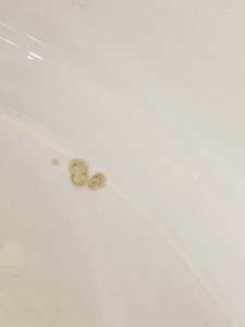 dot