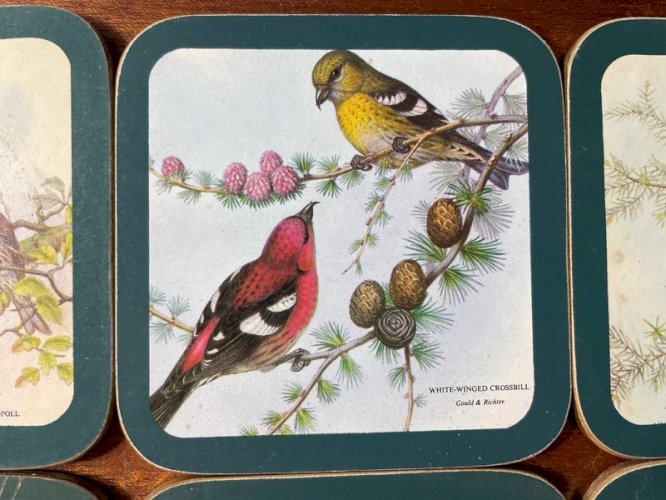 Sous-verres vintage oiseaux