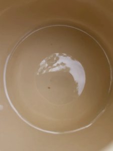 dot