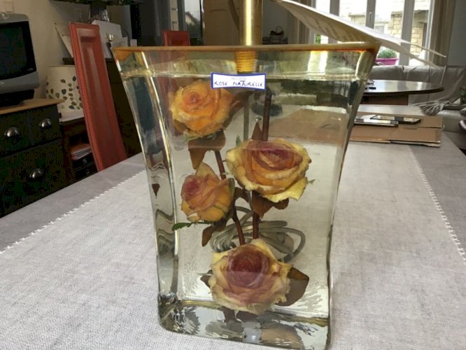 Superb lampe roses naturelles en inclusion DE STALL vintage 80/90 abat-jour chic
