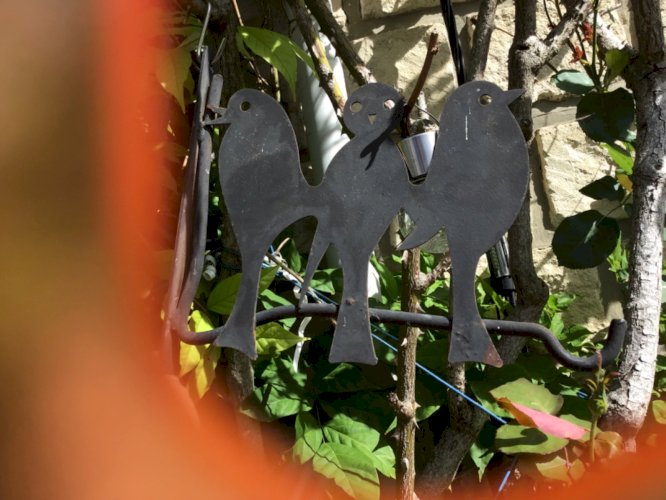 Support de plantes mural décor hirondelle oiseaux crochet pour accrocher jardin