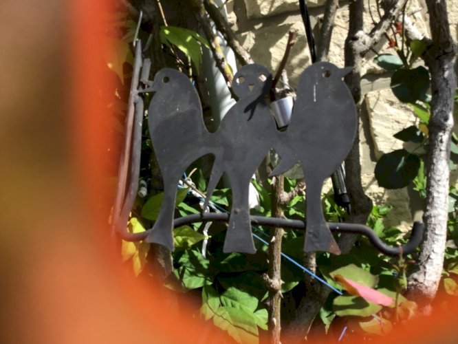 Support de plantes mural décor hirondelle oiseaux crochet pour accrocher jardin