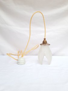 Art Nouveau pendant light from the period