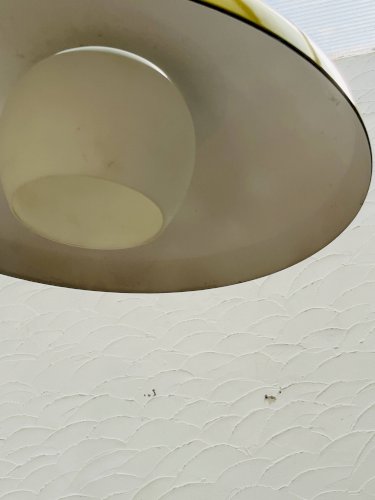 Suspension Philips vintage style Louis Kalff moutarde