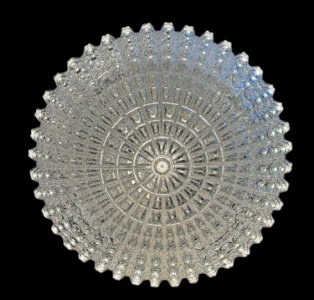 dot
