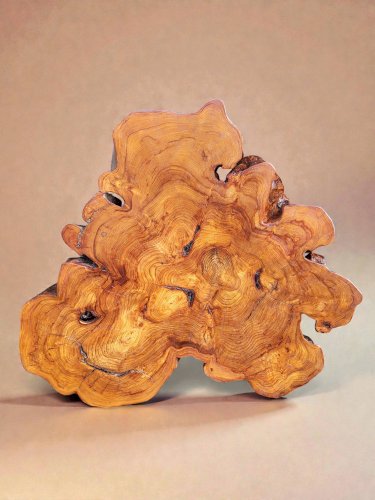 Table basse racine olivier style brutaliste