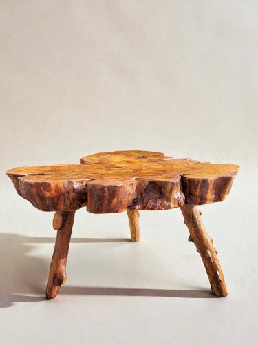 Table basse racine olivier style brutaliste