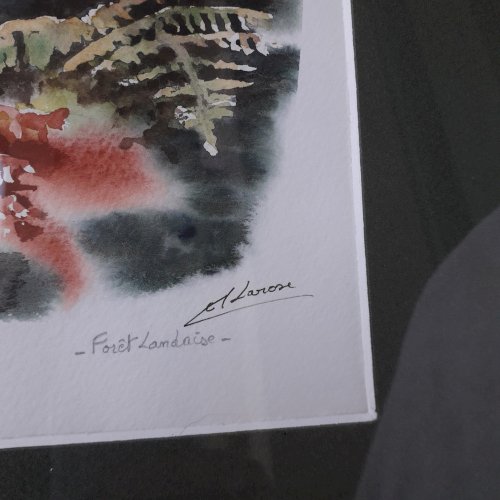 Tableau aquarelle forêt