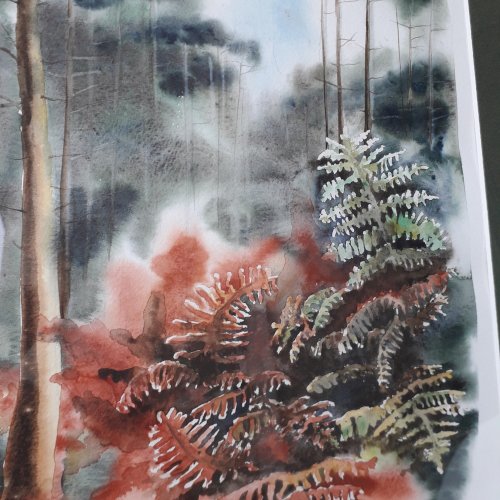 Tableau aquarelle forêt