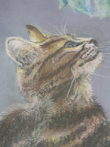 Tableau au pastel représentant un chaton tigré assis qui regarde un papillon, signé en bas à droite D. Breuil