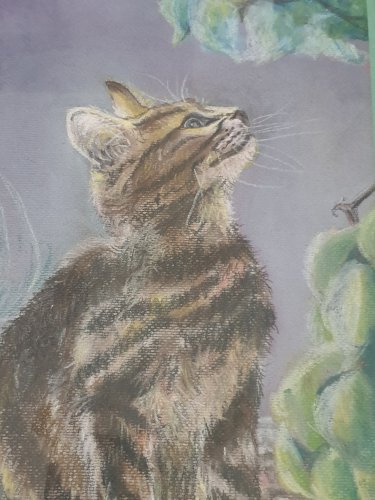 Tableau au pastel représentant un chaton tigré assis qui regarde un papillon, signé en bas à droite D. Breuil