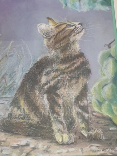 Tableau au pastel représentant un chaton tigré assis qui regarde un papillon, signé en bas à droite D. Breuil