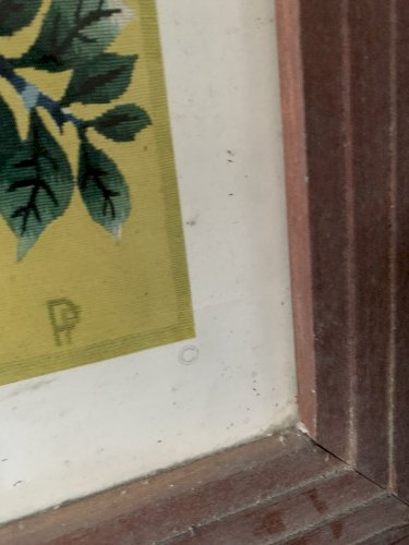 Tableau lithographie Jean Lurçat  l'homme fait son nid fragment copyright 1950's