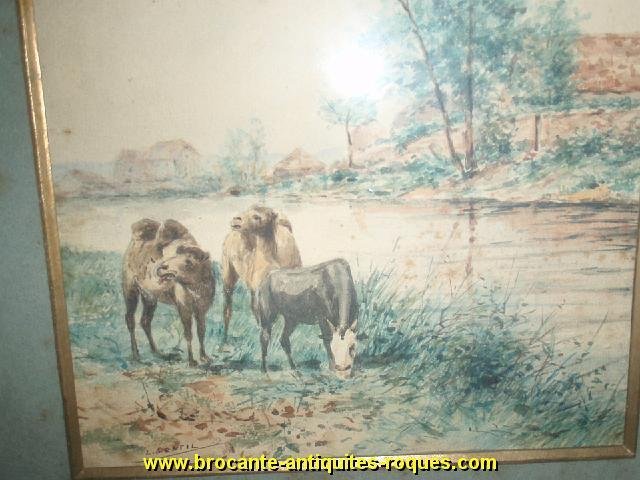 TABLEAU PEINTURE AQUARELLE DROMADAIRE L GENTIL