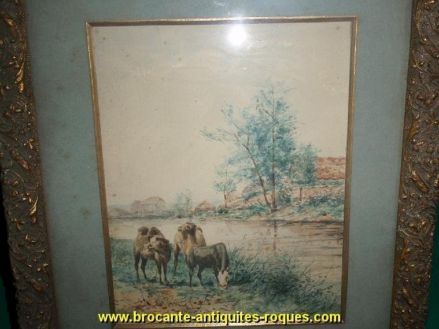 TABLEAU PEINTURE AQUARELLE DROMADAIRE L GENTIL