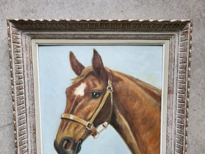 TABLEAU PEINTURE HUILE SUR CONTRE PLAQUE TETE DE CHEVAL SIGNE M. PANGNAUD