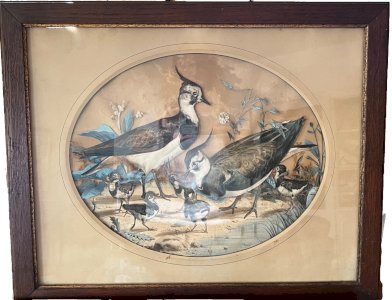 Trompe-l'œil painting – lapwings – animal art – naturalistic decor