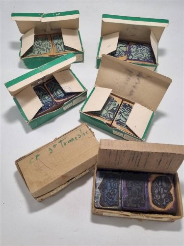 Tampons scolaires