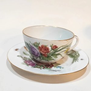 Antique Saxon porcelain tea cup from Dresden, 19th century, insects, butterflies, and flowers