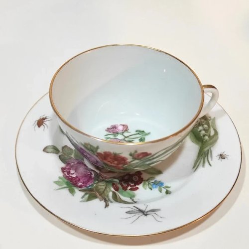 Tasse à thé Ancienne en porcelaine de Saxe Dresdes, XIXème siècle, insectes, papillons et fleurs