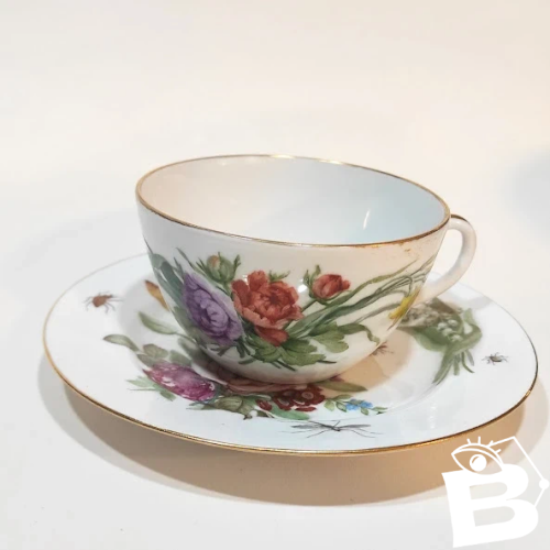 Tasse à thé Ancienne en porcelaine de Saxe Dresdes, XIXème siècle, insectes, papillons et fleurs